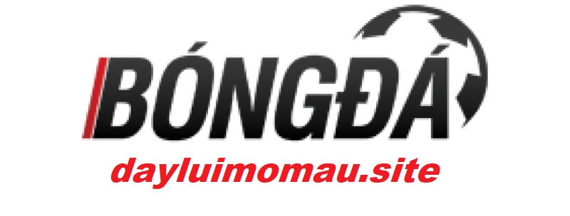 dayluimomau-logo